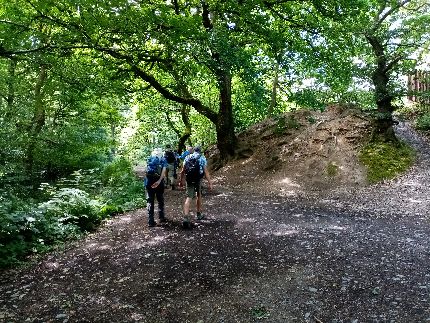 Swithland Wood copyright Liz Roberts